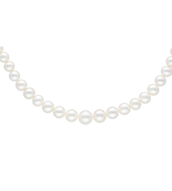 Pearl jewelry online | Pearl necklace UAE | Alfardan