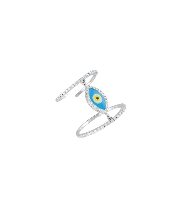 The eye